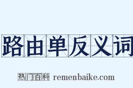 路由单反义词是什么意思的图片